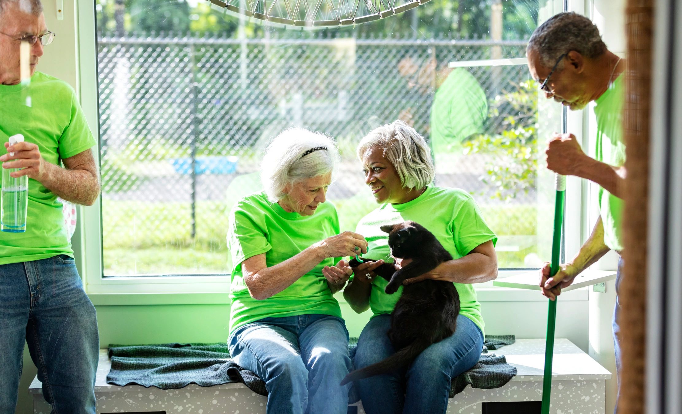Volunteers caring for cats inside an animal shelter
