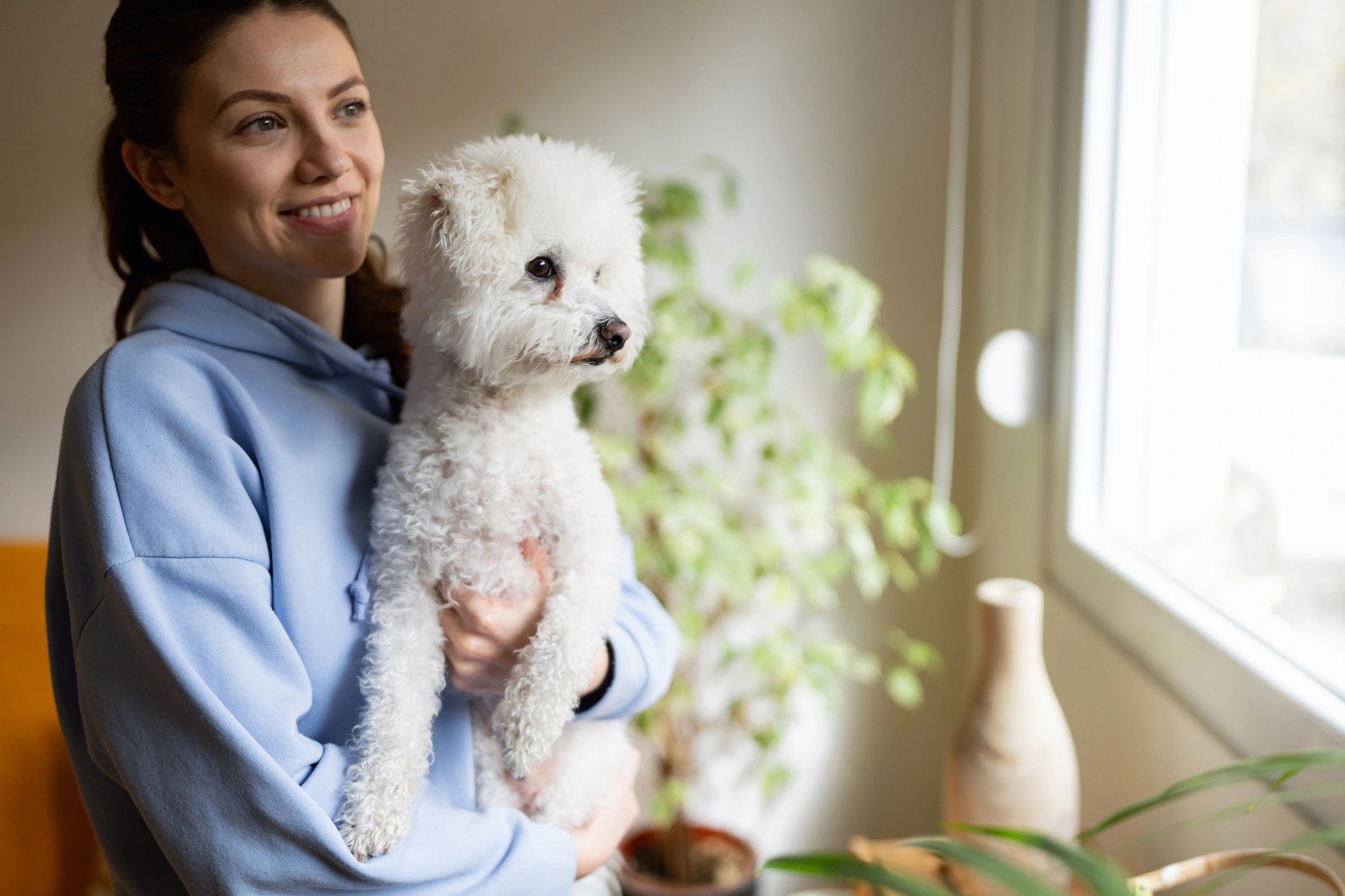 Pet owner holding a small dog